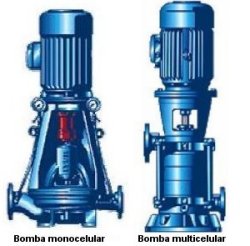 Bombas unicelular y multicelular