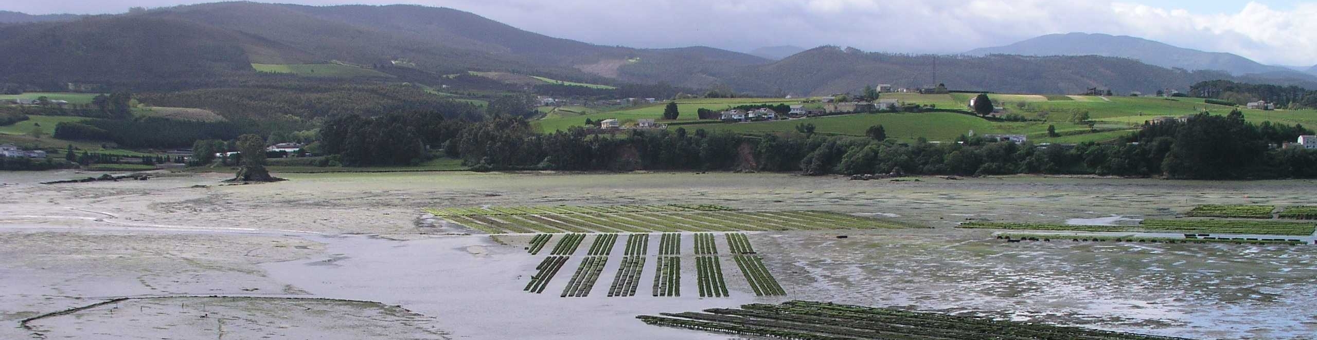 Acuicultura