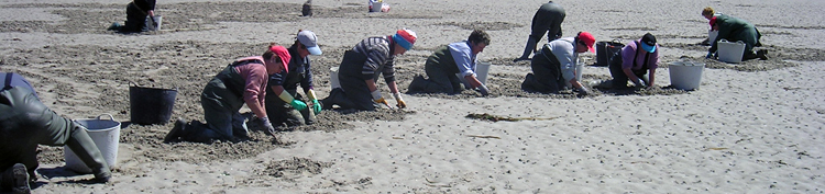 Mariscadoras de Río Anllons