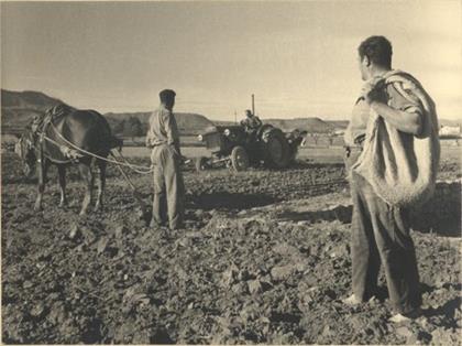 Preparativos de siembra manual con apoyos de tracción animal y mecánica. Manresa (Barcelona). 1951. Autor: Juan Matamala Codina