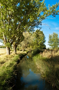 Río Ausines