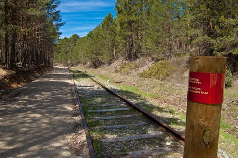 Tramo de vía férrea conservado