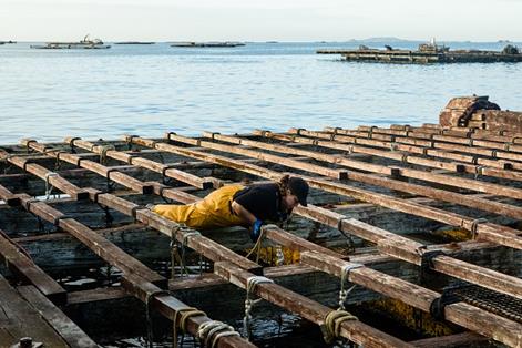 Mujer bateeira de la localidad de Vilanova de Arousa