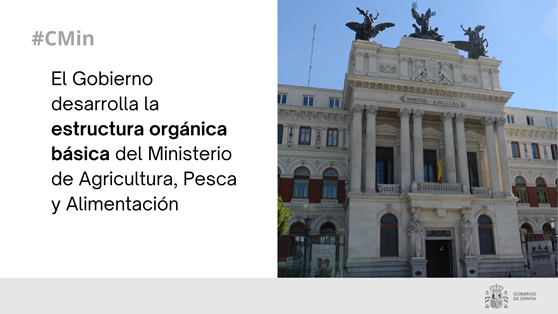 Mediante real decreto aprobado hoy en Consejo de Ministros  