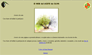 España. La web del aceite de oliva