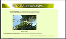 Italia. Olea databases